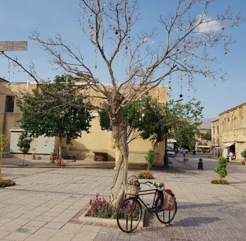 ماجرای قطع درخت آرزوها در شیراز چه بود؟