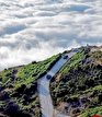 زیبایی های تابستانی ایران: با سفر به بام مازندران غرق در اقیانوس ابرها شوید(گزارش تصویری) زیبایی های تابستانی ایران: با سفر به بام مازندران غرق در اقیانوس ابرها شوید(گزارش تصویری)