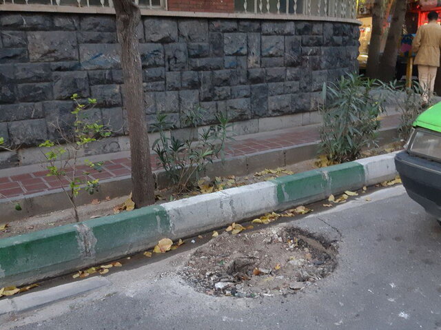 حذف تیربرق‌های با نشان «شیر و خورشید» در تهران؛ تاریخِ روشنی که قربانی کم‌دانی می‌شود