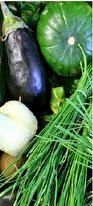 خوراکیهای شگفتانگیزی که باید در پاییز بخورید خوراکیهای شگفتانگیزی که باید در پاییز بخورید