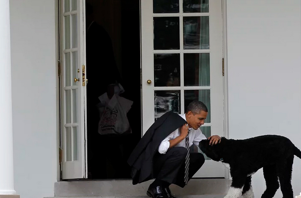 مرگ سگ خانوداگی اوباما