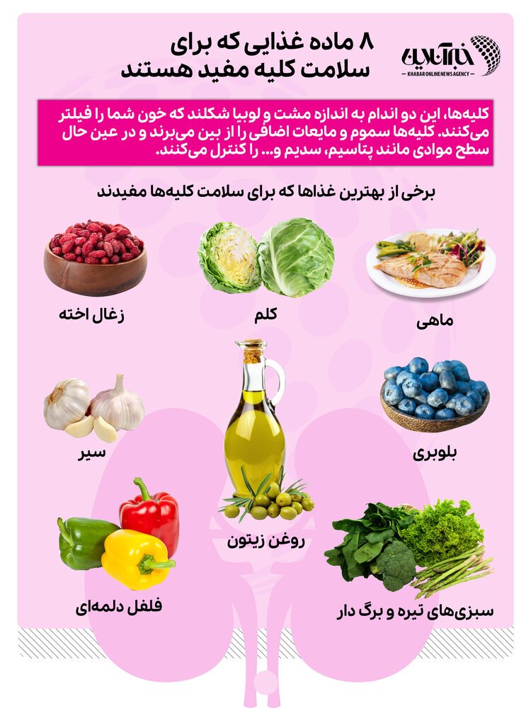 8 ماده غذایی مفید برای سلامت کلیه‌ (اینفوگرافیک)