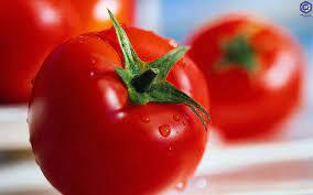 مصرف روزانه گوجه فرنگی را فراموش نکنید!