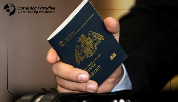 چه افرادی واجد شرایط اخذ پاسپورت دومینیکا هستند؟