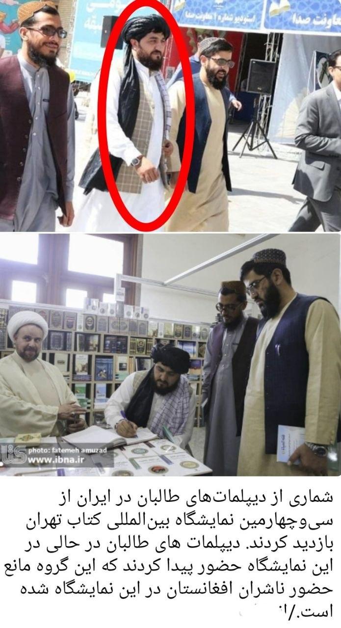 دیپلمات طالبان نمک خورد و نمکدان شکست: توهین به امیرعبداللهیان (تصویر)