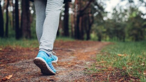 چرا باید روزانه ۴۰۰۰ قدم پیاده روی کنیم؟!