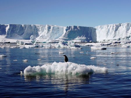 ماجرای سفر سوگل خلخالیان به قطب جنوب که وایرال شد