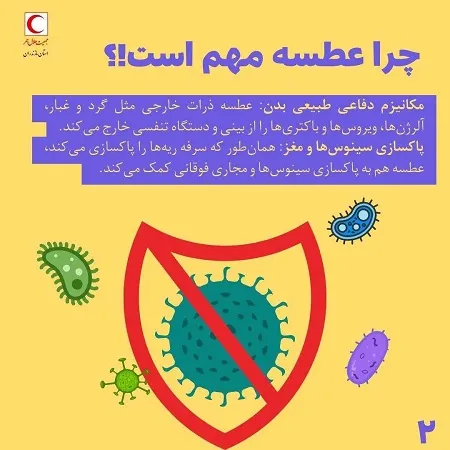 اگر جلوی عطسه را بگیریم چه می‌شود؟