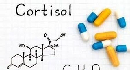 شکم کورتیزولی چیست؟ شکم کورتیزولی چیست؟