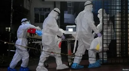 ویروس «نیپا» چیست و چقدر باید نگران آن باشیم؟ ویروس «نیپا» چیست و چقدر باید نگران آن باشیم؟