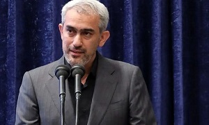 معرفی گزینه پیشنهادی وزارت اقتصاد به مجلس