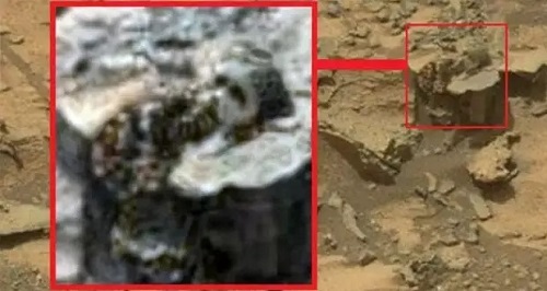 تصویر کاوشگر ناسا که از مریخ به زمین فرستاد