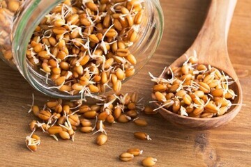 این خوراکی سبب افزایش طول عمر میشود!