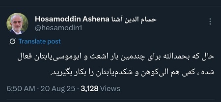 واکنش آشنا به تهمت‌های تلویزیونی: حالا کمی الی‌کوهن و کاترین شکدم‌یابتان را روشن کنید!