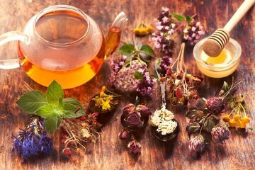 ۷ دمنوش پاییزی برای تقویت سیستم ایمنی و رفع خستگی ۷ دمنوش پاییزی برای تقویت سیستم ایمنی و رفع خستگی