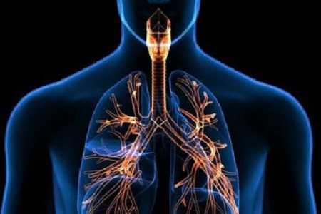 ۵ تمرین برای تقویت ریه