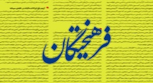 انتقاد از نماینده زن درباره ساقط کردن اف ۳۵