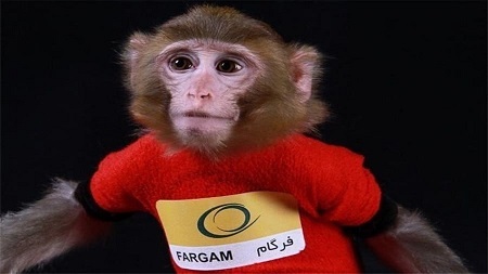 میمون فضانورد ایران پس از ۱۳ سال کجاست؟ (ویدئو) میمون فضانورد ایران پس از ۱۳ سال کجاست؟ (ویدئو)