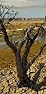 خشکسالی کم سابقه و ابر بحرانی که در پیش است!

 