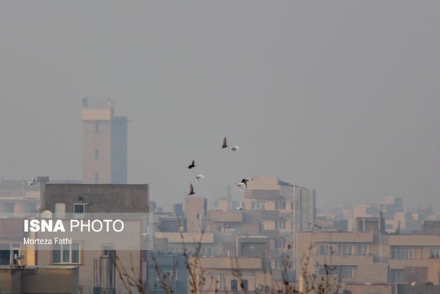 در آلودگی هوا چه بخوریم و چه نخوریم؟