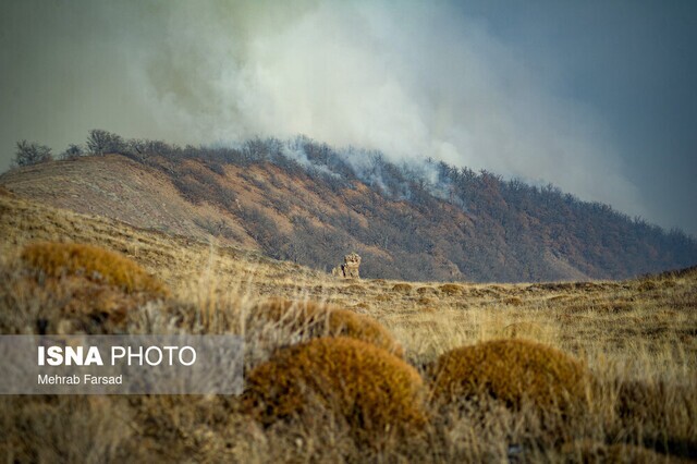 خبر خوش استاندار مازندران: آتش جنگل الیت مهار شد