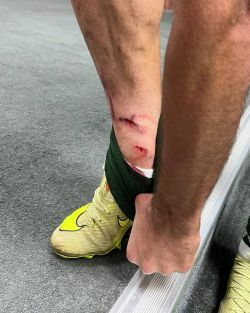 کارشناسی داوری بازی پرسپولیس - آلومینیوم: پنالتیها و یک اخراج سوخت!؟ / نظر کارشناسان کارشناسی داوری بازی پرسپولیس - آلومینیوم: پنالتیها و یک اخراج سوخت!؟ / نظر کارشناسان